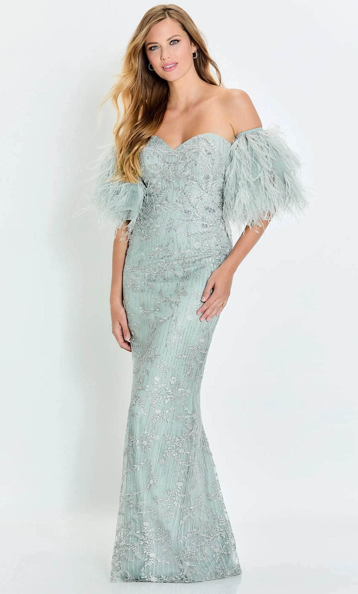Detachable Feathered Sleeve Strapless Evening Dress