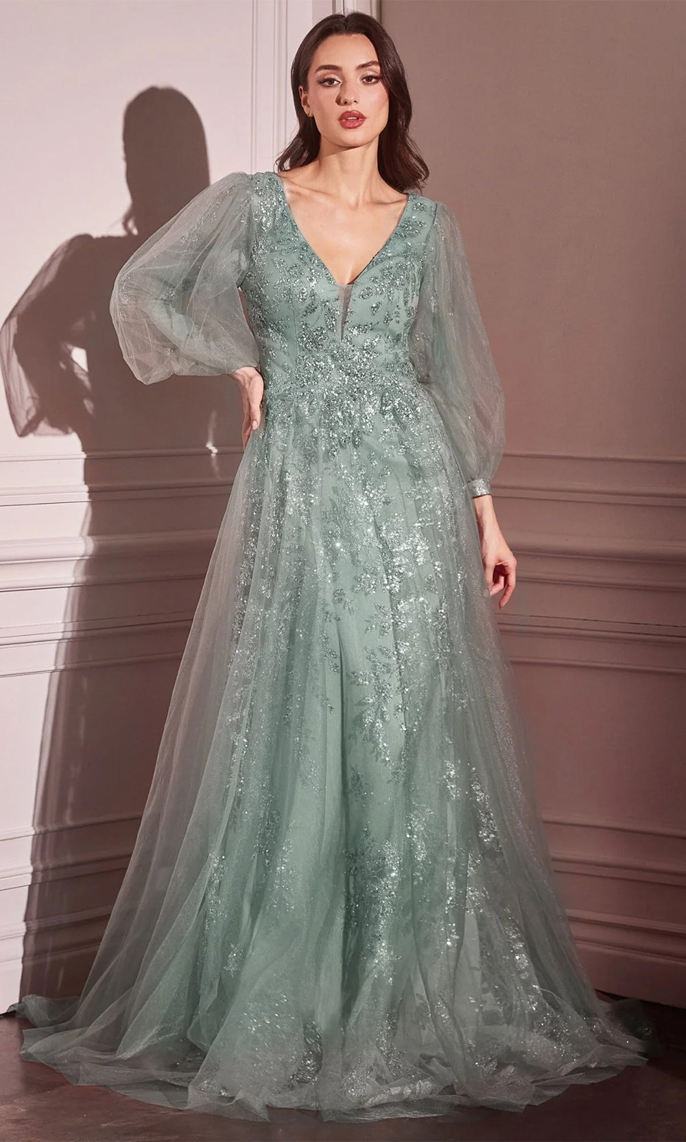 Long Sleeve Applique Gown