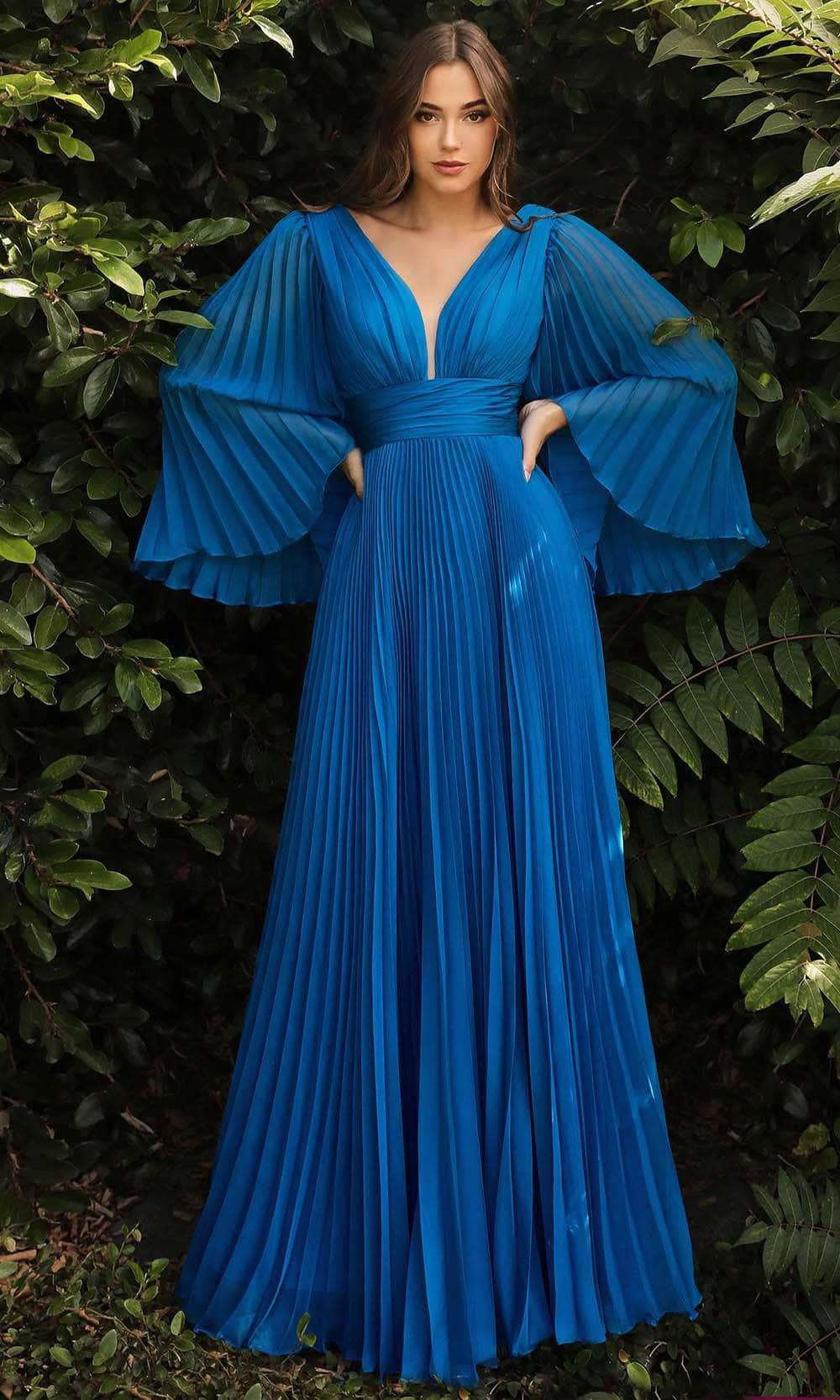 Flutter Sleeve Chiffon Dress