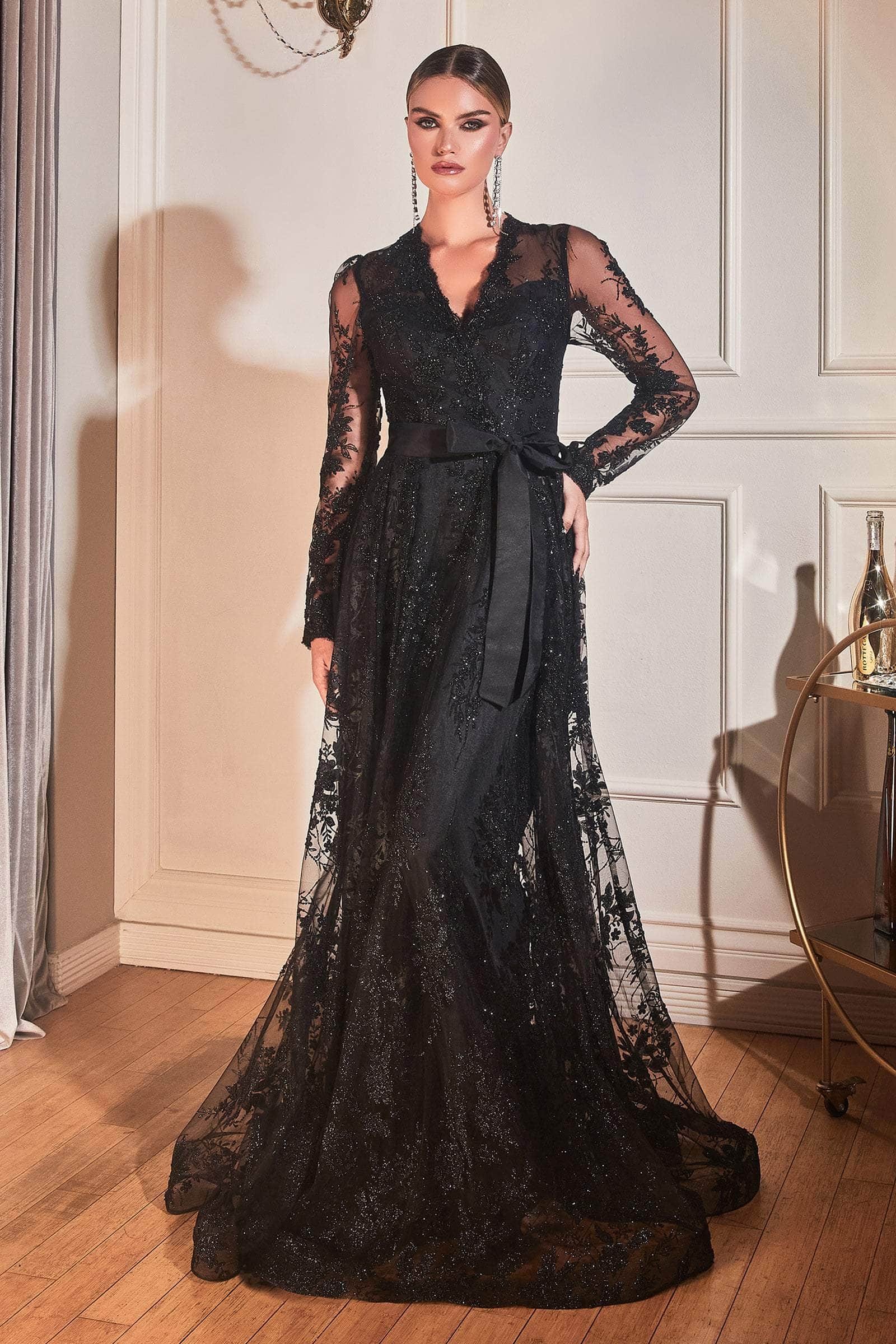 Embellished Long Sleeve V-neck Gown