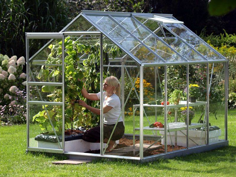 【Home&Garden】Vitavia 8×6 Venus 5000 Greenhouse – Horticultural Glass