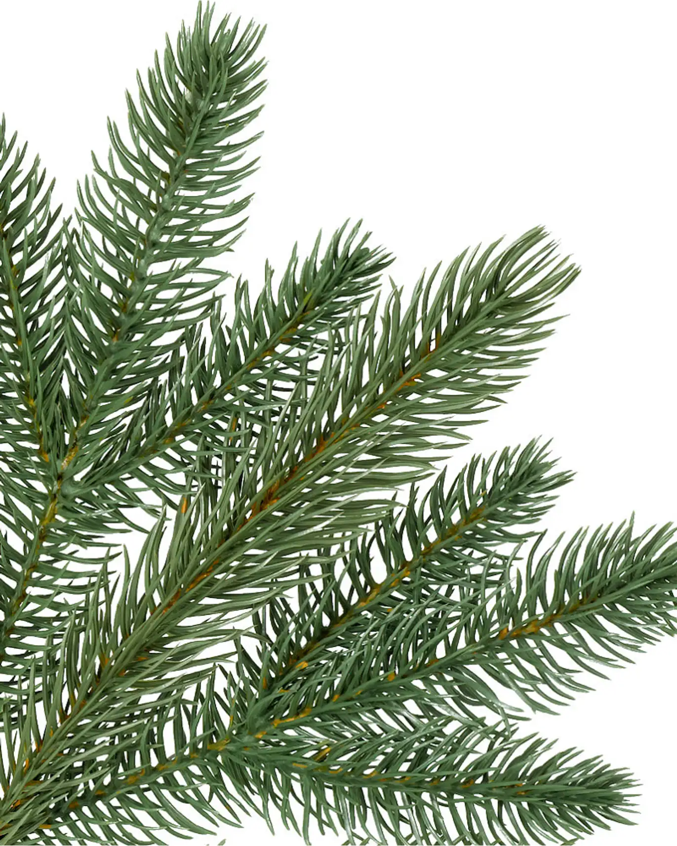 Fifth Avenue Flatback™ Tree