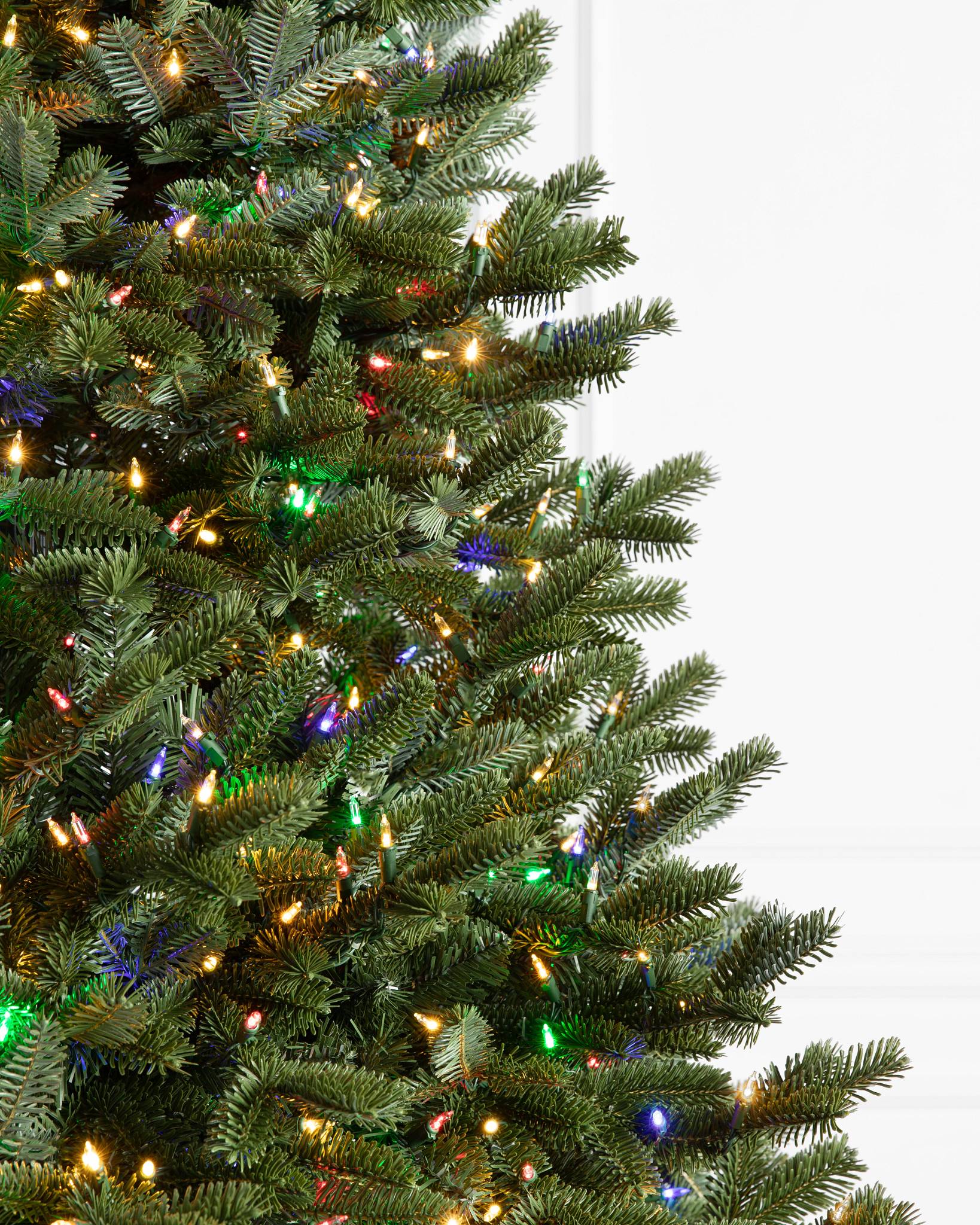 BH Fraser Fir® Tree