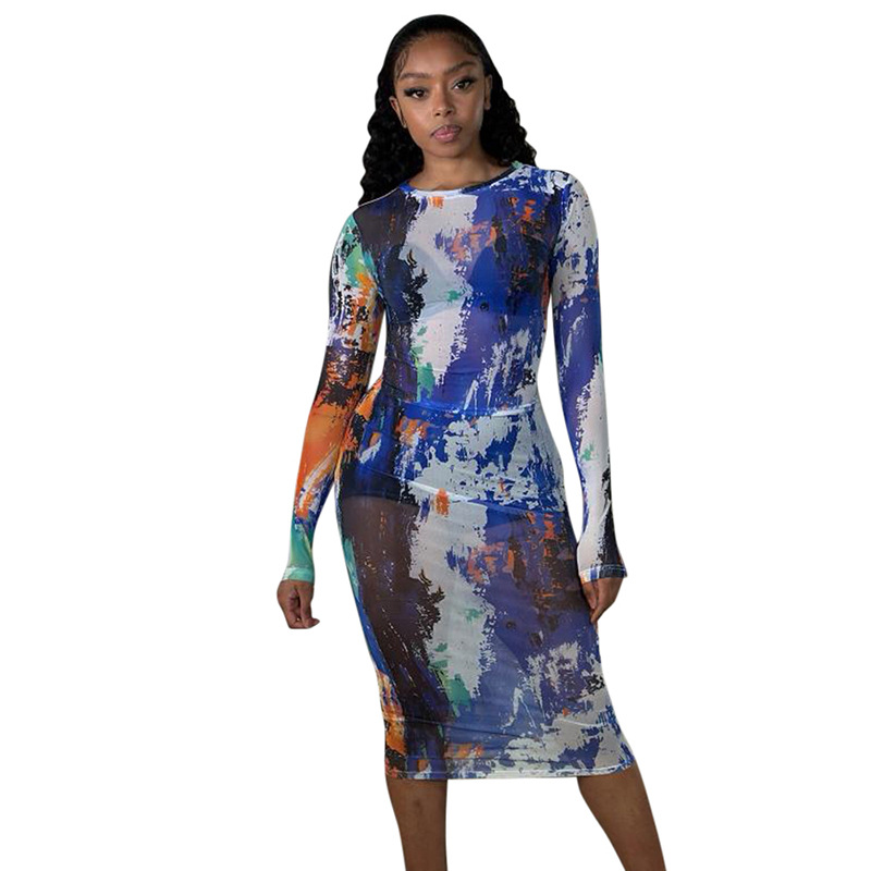 Round Neck Long-Sleeved Mesh Print Sexy See-Through Slim Long Dress