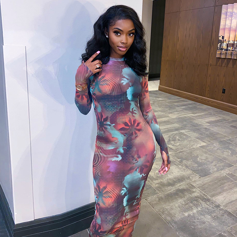 Round Neck Long Sleeve Finger Mesh Printing Casual Long Dress For Women