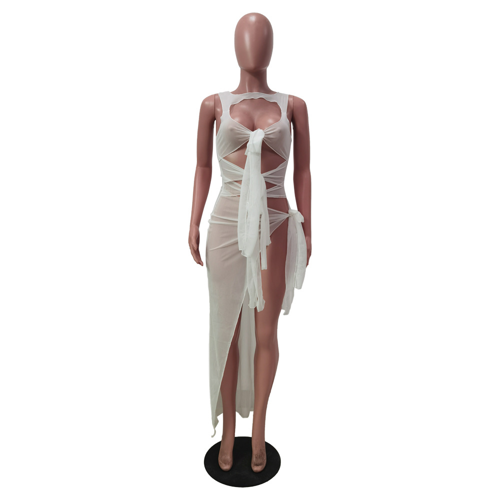 Sexy Hollow Out Perspective Lace Mesh Sleeveless Dress