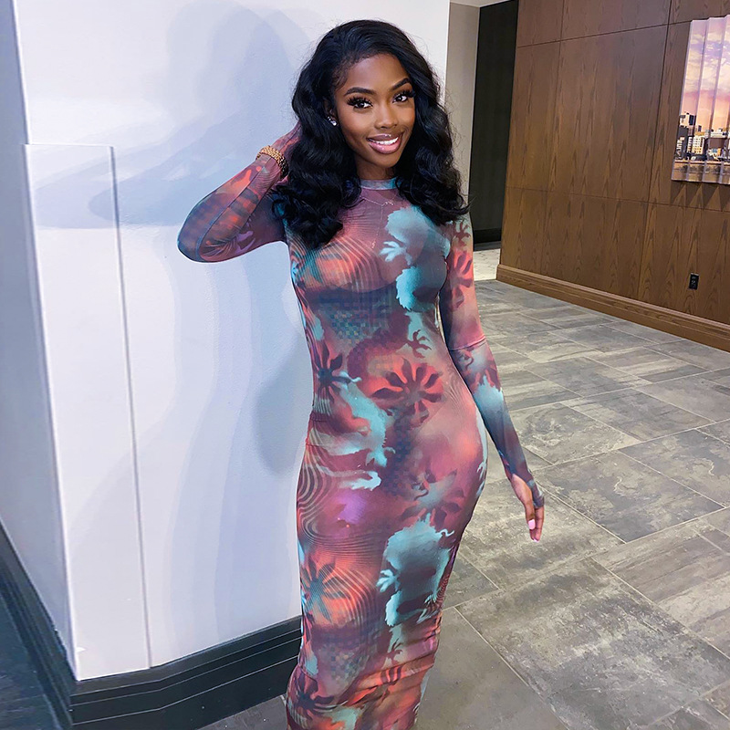 Round Neck Long Sleeve Finger Mesh Printing Casual Long Dress For Women