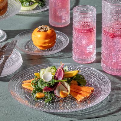Fortessa Jupiter Dinner Plates