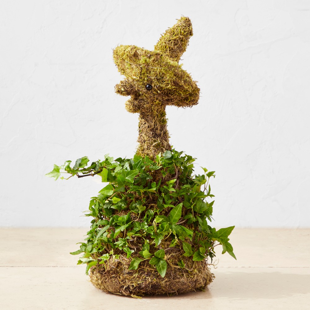 Ivy & Moss Halloween Witch Topiary, 18