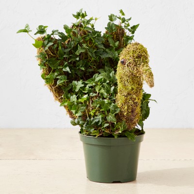Ivy & Moss Thanksgiving Turkey Topiary, 12