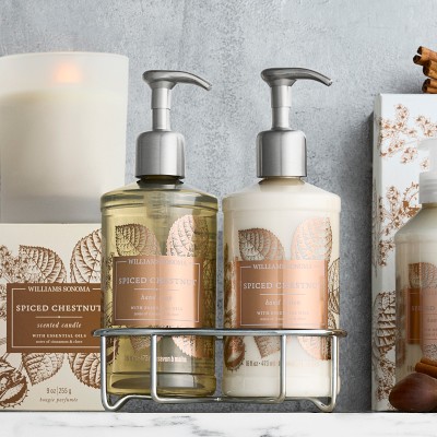 Williams Sonoma Spiced Chestnut Hand Soap & Lotion 3-Piece Set
