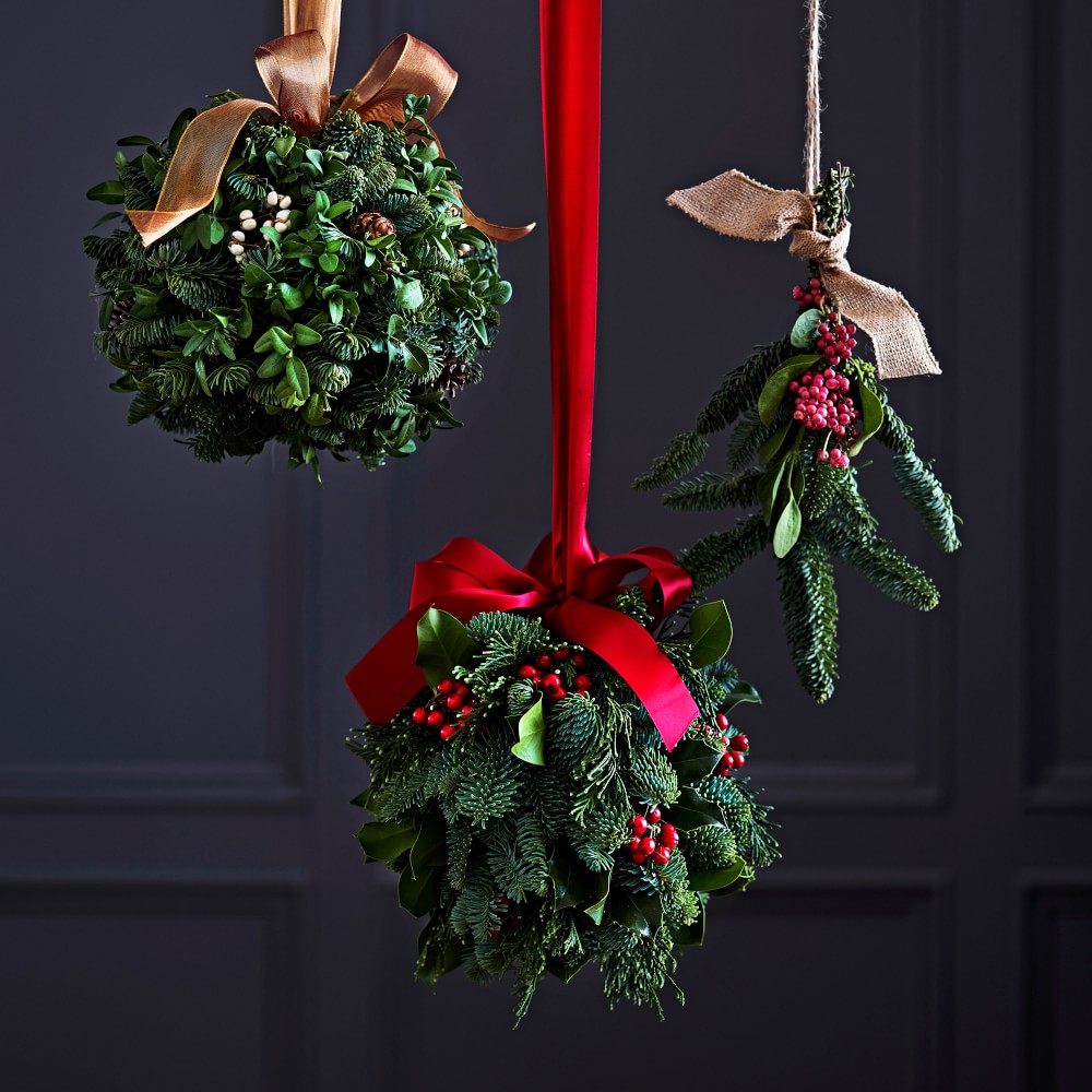 Live Mistletoe