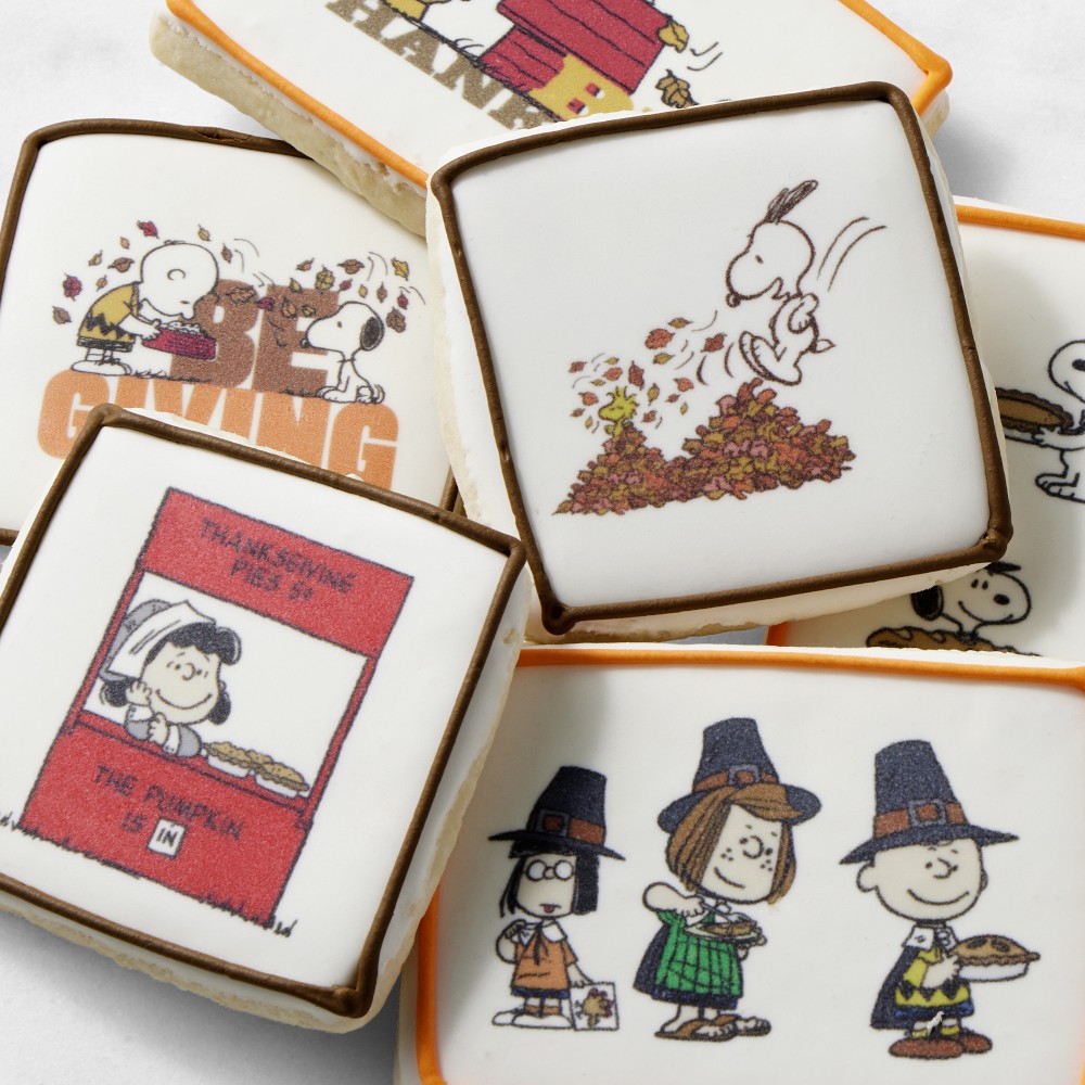 PEANUTS™ x Williams Sonoma Thanksgiving Cookies, Set of 6