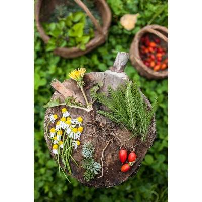 Eve & Eivin Kilcher: Homestead Kitchen: Stories and Recipes from Our Hearth to Yours