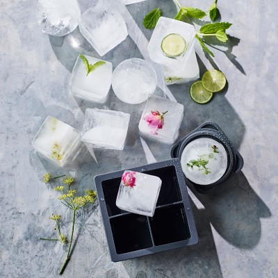 Williams Sonoma Sphere Ice Molds, Set of 2