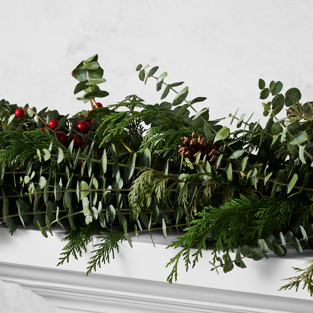 Fragrant Berry Live Garland, 6'