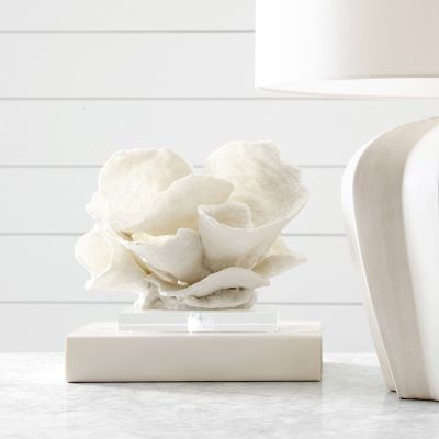 Oversized Coral on Stand