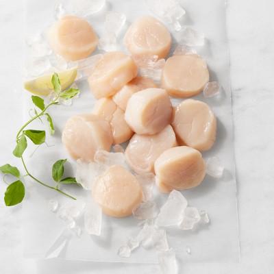 Fresh Hokkaido Sea Scallops, 1-lb