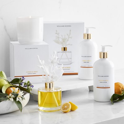 Home Fragrance Porcelain Diffuser, Citrus & Sage