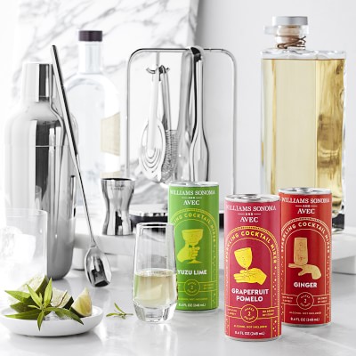 Williams Sonoma Encore Bar Double Wall Cocktail Shaker