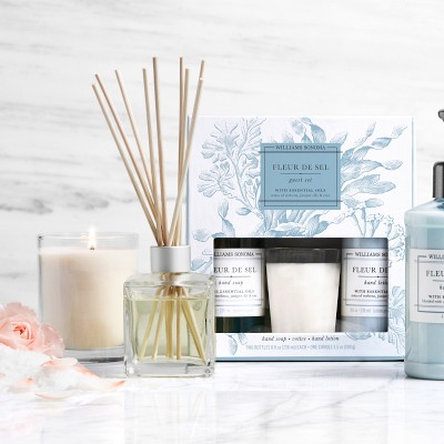Williams Sonoma Fleur De Sel Guest Set