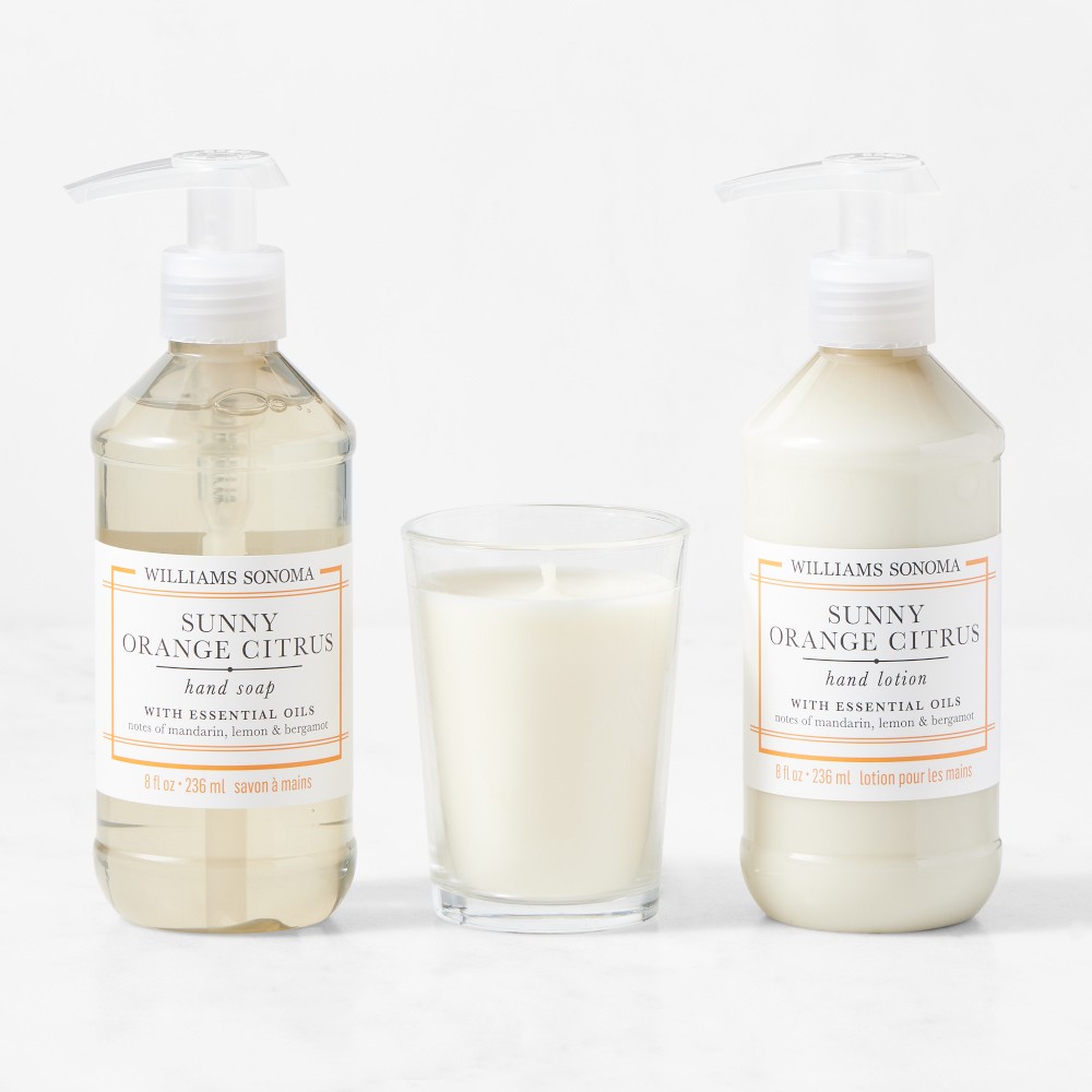 Williams Sonoma Sunny Orange Citrus Guest Set