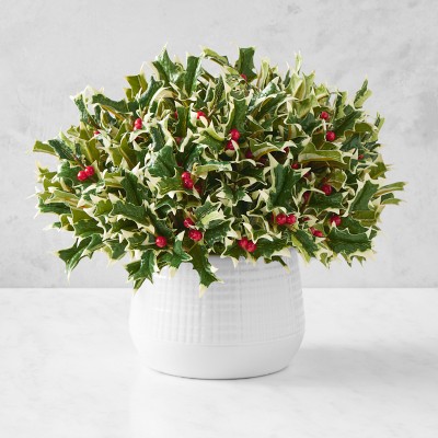 Faux Holly Berry Floral Arrangement in Porcelain Vase