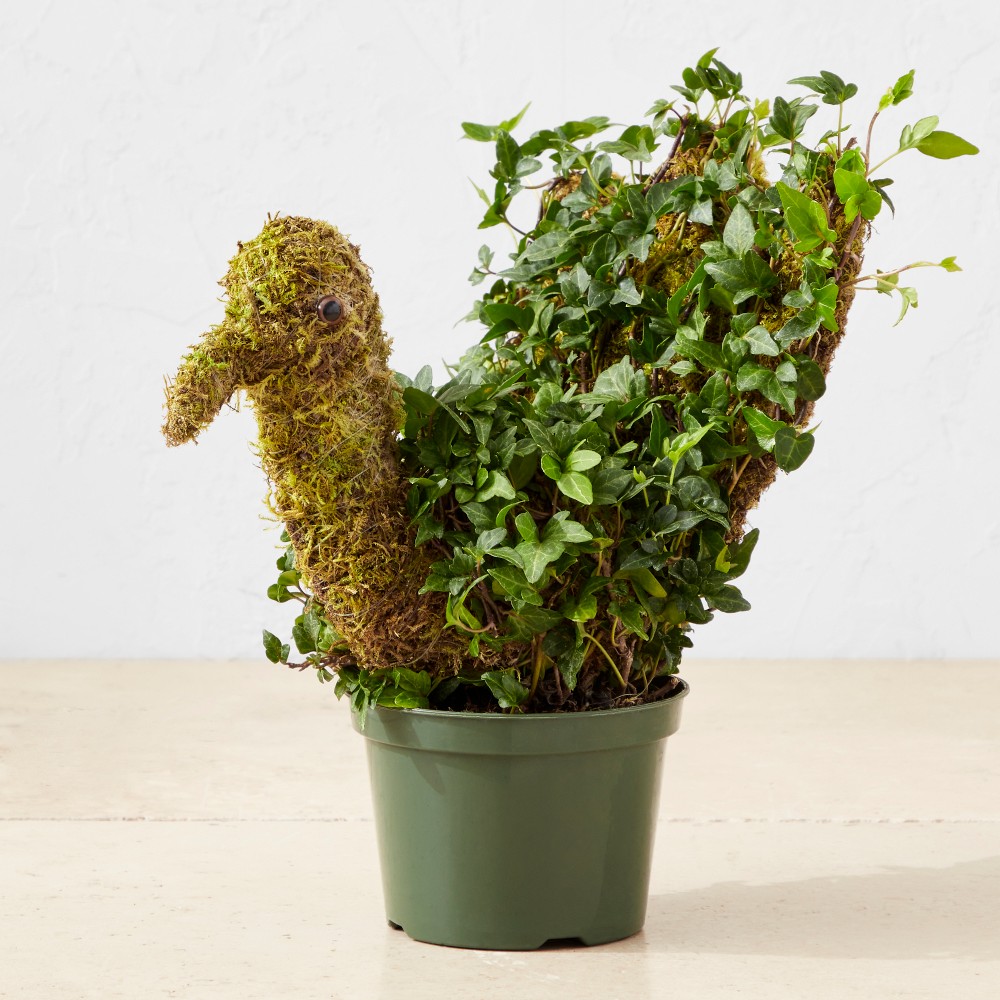 Ivy & Moss Thanksgiving Turkey Topiary, 12