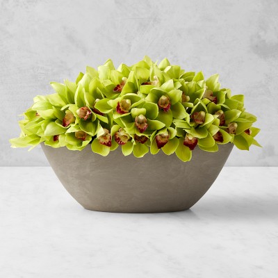 Jeff Leatham x Williams Sonoma Faux Green Cymbidium Orchid in Oval Bowl