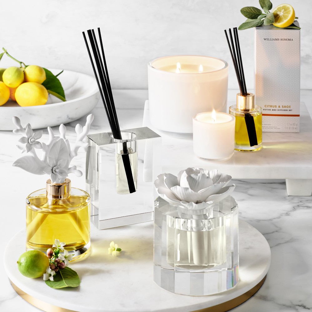 Williams Sonoma Crystal Block Diffuser