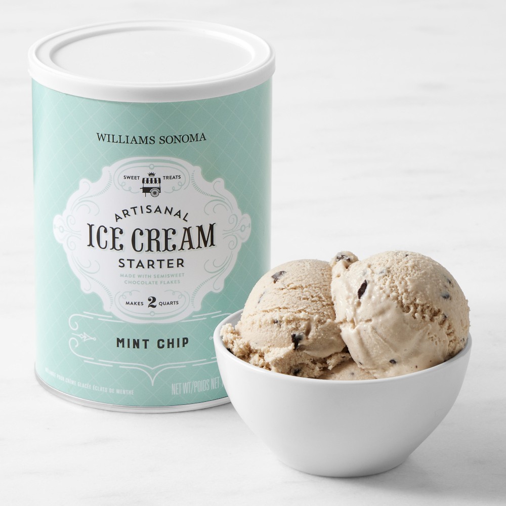Williams Sonoma Ice Cream Starter, Mint Chip