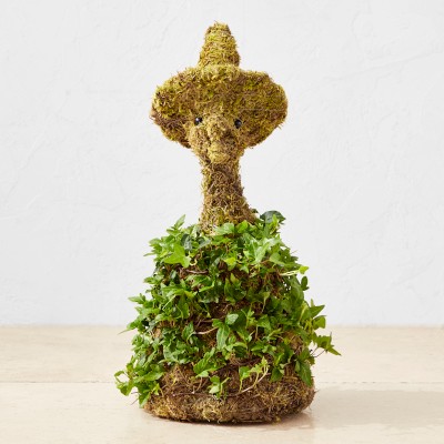 Ivy & Moss Halloween Witch Topiary, 18