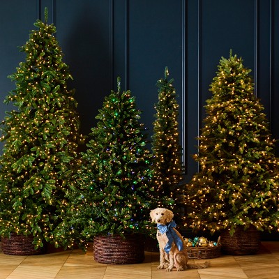 Balsam Hill Most Realistic Balsam Fir Faux Tree, 6.5'-12'