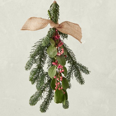 Live Mistletoe