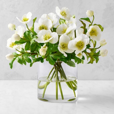 AERIN x Williams Sonoma Real Touch Faux White Hellebores Arrangement in Glass Vase