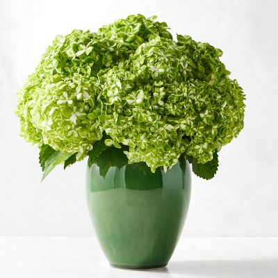 Provençal Large Vase