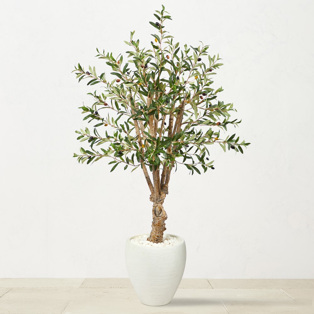 Faux Olive Tree in White Planter, 53