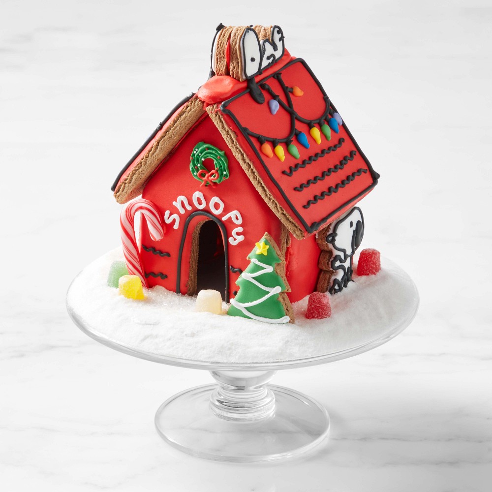 PEANUTS™ x Williams Sonoma Snoopy Holiday Dog House