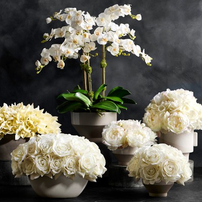 Jeff Leatham x Williams Sonoma Faux White Cymbidium Orchid in Oval Bowl