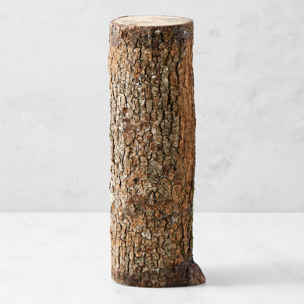 Shiitake Mushroom Log Kit