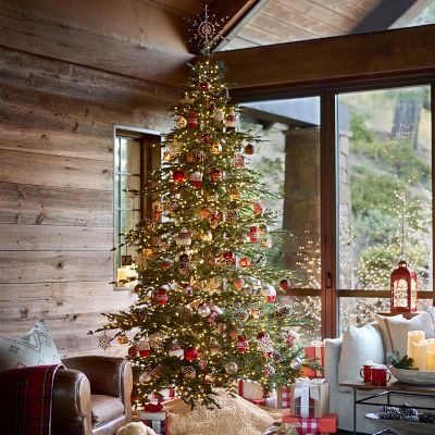 Balsam HIll Aspen Silver Fir reNEW 6.5' - 9'