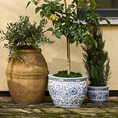 Faux Cedar Topiary in Plastic Pot, 36