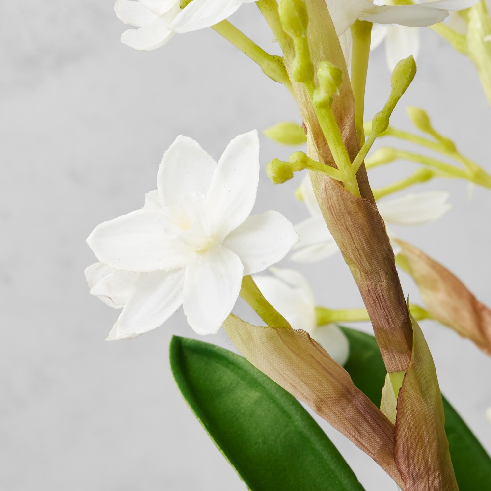 Jeff Leatham x Williams Sonoma Faux Holiday Paperwhites in Cement Planter