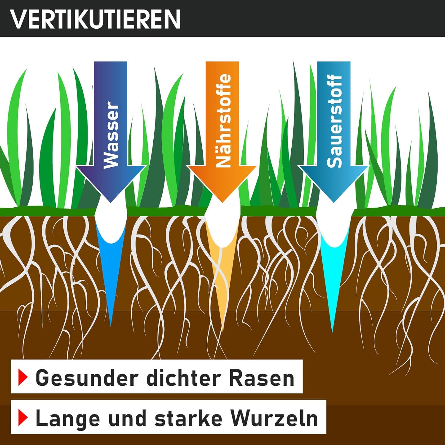 BRAST® BRB-RV-45212 Scarifier Petrol 4.5 kW (6.12 HP) 4-Stroke Engine 212 cc 40-45 cm Working Width TÜV Tested 50 L Collection Basket Many Models for Small to Very Large Lawns