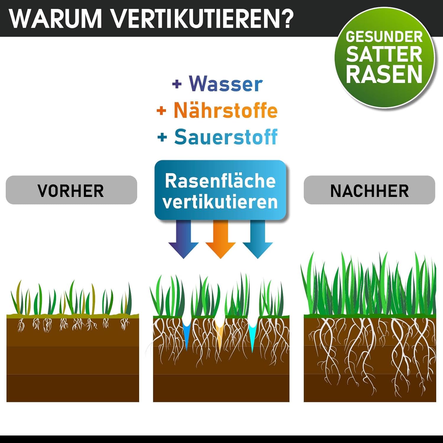 BRAST® BRB-RV-45212 Scarifier Petrol 4.5 kW (6.12 HP) 4-Stroke Engine 212 cc 40-45 cm Working Width TÜV Tested 50 L Collection Basket Many Models for Small to Very Large Lawns