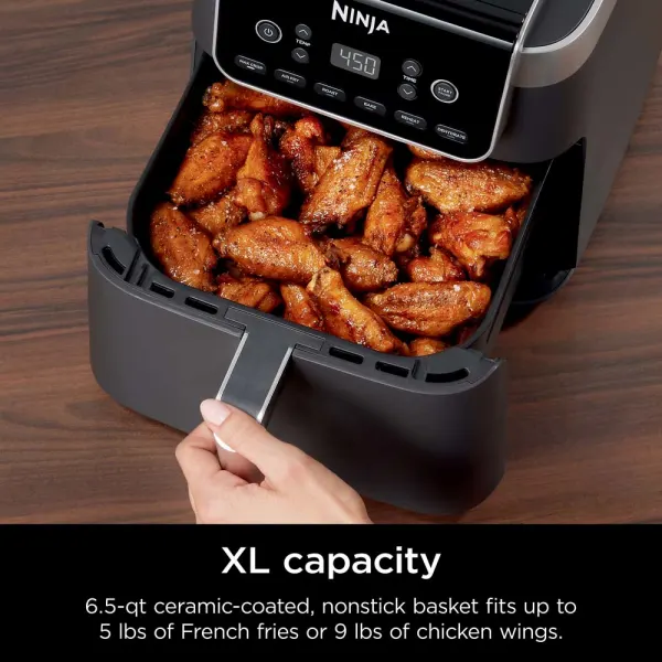 Ninja® Air Fryer Pro XL 6-in-1 with Ninja ProChef™ Wireless Thermometer