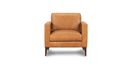Mateo Leather Lounge Chair