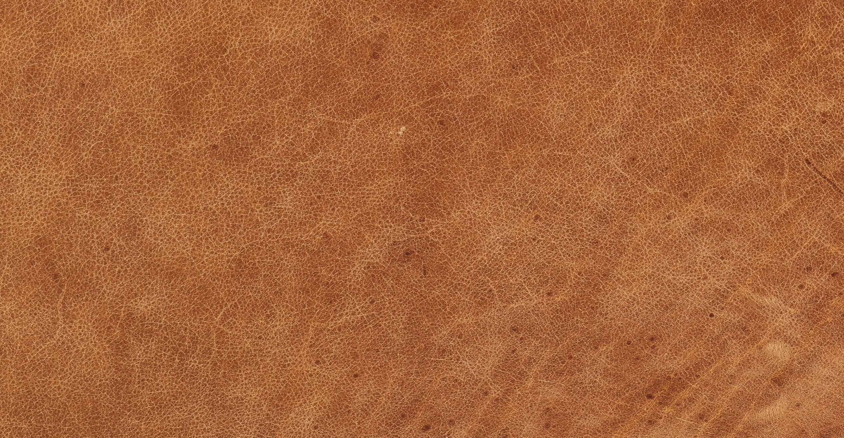 Lando Leather Dining Chair