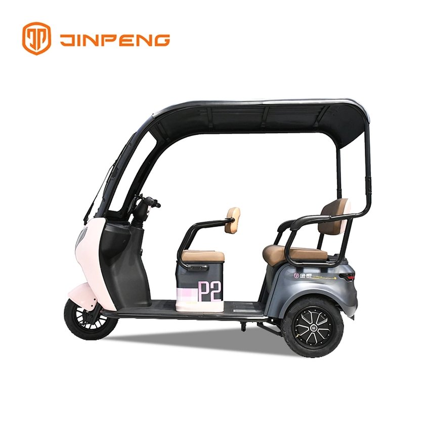 Electric Passenger Tricycle with Roof-P2