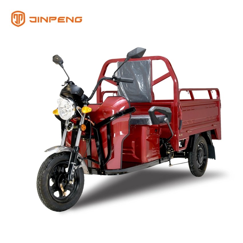 Mini Cargo Passsenger Electric Tricycle-TL130